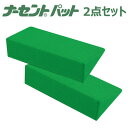 ナーセントパット【A 2点セット(小×2)】体位変換 床ずれ防止 介護用クッション 体圧分散 体位保持 アイ・ソネックス(4)