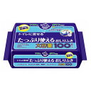 アクティ　トイレに流せるたっぷり使えるおしりふき100枚　80623　日本製紙クレシア