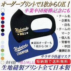 https://thumbnail.image.rakuten.co.jp/@0_mall/sys-baseball/cabinet/mask/mask211030.jpg