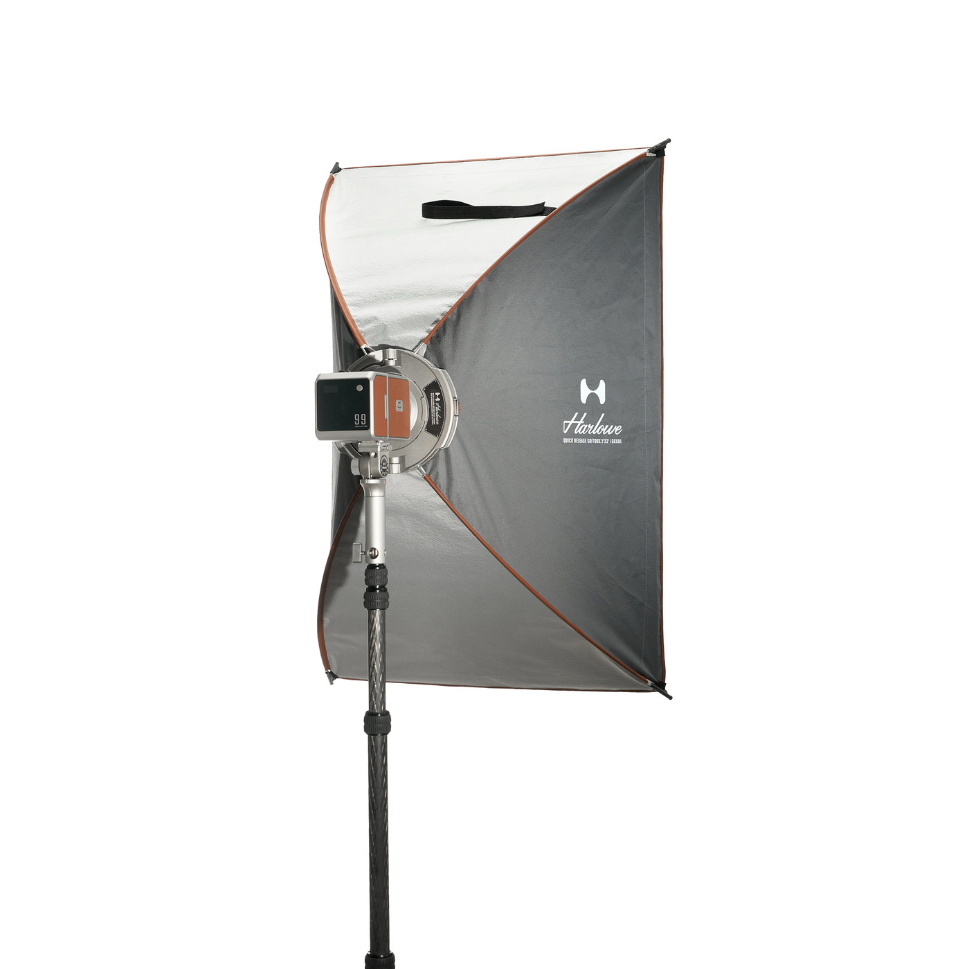 Harlowe �����å���꡼�����եȥܥå���(60x90cm/Bowens��Max�ޥ�����б�) 1420181