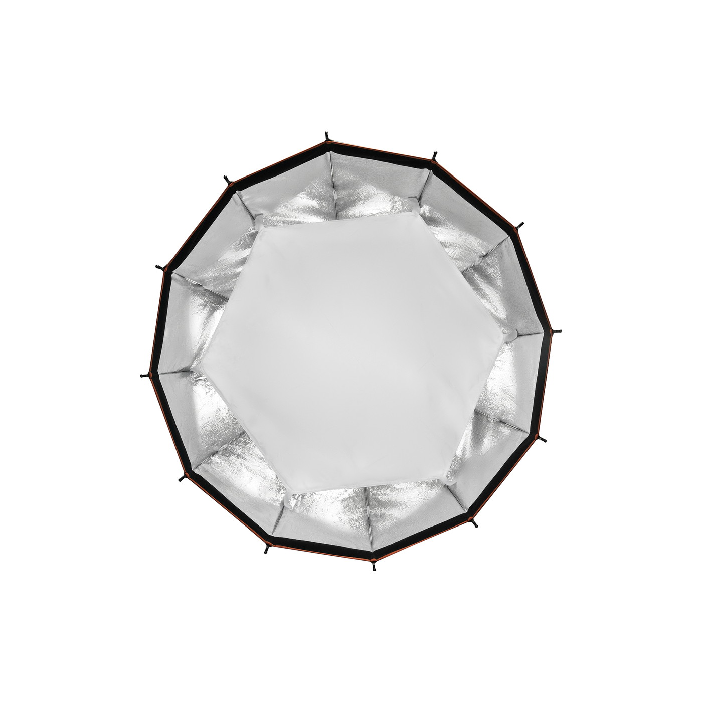 ���϶Ⱥ�2026��Harlowe �����å���꡼�����եȥܥå���(60cm/Bowens��Max�ޥ�����б�) 1420221