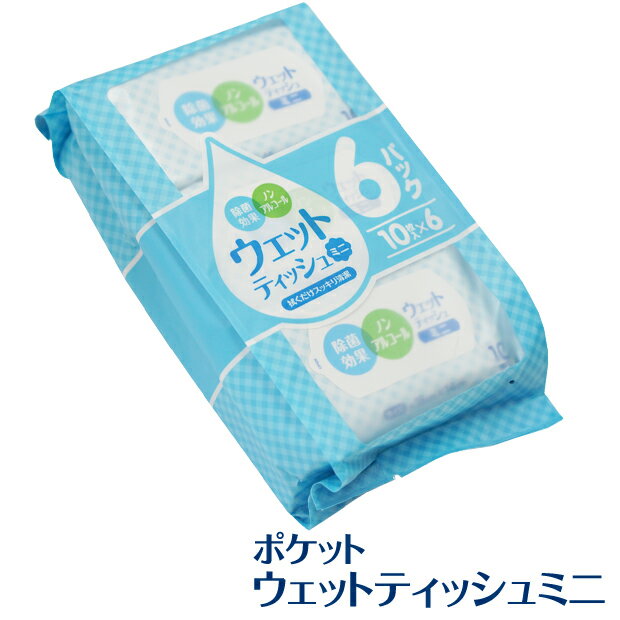 ウェットティッシュ ミニ　ノンアルコール 【(10枚入6個パック)×60個入】 除菌効果　(アルコール無し 除菌ティッシュ 除菌ウェットシート　手指の清掃)　[syspo]【送料無料】