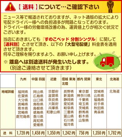 2つ折り桐すのこベッドシングルサイズ(2分割タイプ)分割コンパクトすのこマット折りたたみベットベットシングル折りたたみベッド木製桐きりキリスノコベッド折り畳みベッドすのこベッド除湿カビ防止結露防止