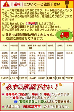 2つ折り桐すのこベッドダブルサイズ(2分割タイプ)分割コンパクトすのこマット折りたたみベットベットダブル折りたたみベッド木製スノコベッド折り畳みベッドすのこベッド除湿カビ防止結露防止