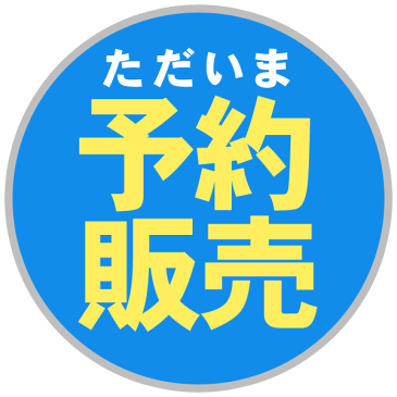 【予約】4つ折り桐すのこベッド ダブルサイズ ランキング入賞！ 耐荷重200kg すのこマット折りたたみベット ベット ダブル 折りたたみ ベッド 木製 桐 きり キリ スノコベッド 折り畳みベッド すのこベッド 除湿 カビ防止 結露防止[SN][NP]