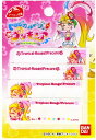 トロピカル~ジュ!プリキュア ネームラベル《アイロン接着》