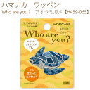 送料無料【同柄3枚入】【ハマナカ】【ワッペン】Who are you ?　アオウミガメ【H459-065】