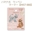 ★ゆうパケットメール便OK★【同柄3枚入】【ハマナカ】【ワッペン】クークー【H457-880】