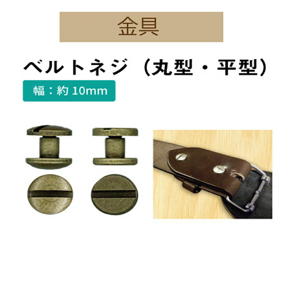 ベルトネジ 2ケ入【AK-101-10-11・Ag・S】【3cmゆうパケット可】INAZUMA・イナズマ