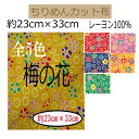 ★20枚以内なら【2cmゆうパケットメール便】OK!★京ちりめん・カット布「梅の花柄」レーヨン100%23cm×33cm