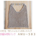 ハマナカ ウオッシュコットンのネットバッグAMU-583完成品ではありません。手編み材料パックです。(糸と編み図だけが入っています。ボタン、ファスナー等は入っていません。)