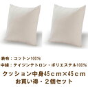 2個セットでお買い得!!クッション 中身 【春の海】45cm×45cm 抗菌・防臭・防ダニ 背当て 洗える 日本製