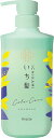 いち髪 カラーケア ベーストリートメントinシャンプー ポンプ480ml|ノンシリコン&アミノ酸処方で色落ちを防ぎダメージ補修|メンズ・レディース兼用ヘアケア