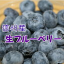 信州産　生ブルーベリー（不揃い）　数量限定　100g×6P　完熟したものをお届け致します。