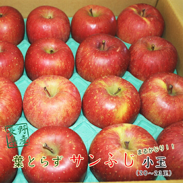 楽天市場】佐川急便（フルーツ・果物｜食品）の通販