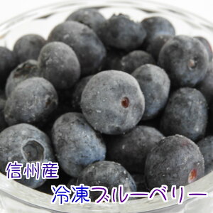長野県産 冷凍ブルーベリー 不揃い 600g(100g×6p）