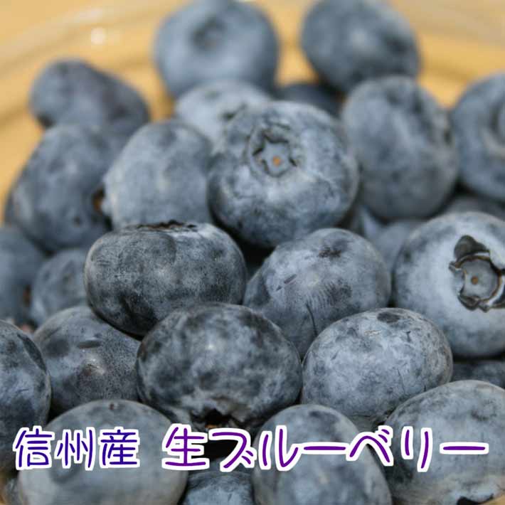 信州産 訳あり 生ブルーベリー 不揃い 100g×6P 送料無料のサムネイル