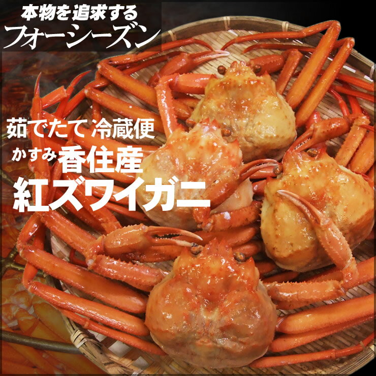 【送料無料】山陰香住(かすみ)産 【訳あり】ボイル紅ズワイガニ[足折れ混じり][茹で済み]合計どっさり 1.5kg詰め込み…