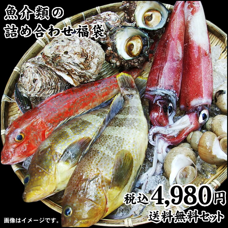 魚介類の詰め合わせ【4980円セット】福袋(魚介類3〜6品程度入) 【送料無料】鮮魚セット