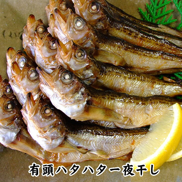 干しハタハタ（有頭）1kg【訳あり】【送料無料】【1配...