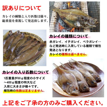 【日本海産カレイ一夜干し1kgセット】【冷凍】送料無料【1配送先で2セット以上お買い上げで1セット増量】*【RCP】