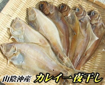 送料無料 干物セット どっさり1．5kg！ 3種類セット【ハタハタ・カレイ・アジ】[冷凍]【日本海産】】【ギフト】【RCP】【干物】【ひもの】一夜干し お中元 ギフト