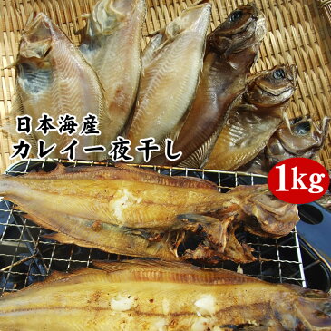 【日本海産カレイ一夜干し1kgセット】【冷凍】送料無料【1配送先で2セット以上お買い上げで1セット増量】*【RCP】