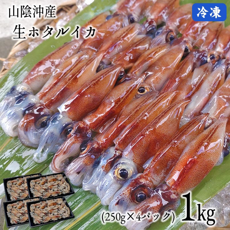 2024年新物【A級】生ホタルイカ（プロトン凍結） 1kg（250g×4パック）【送料無料】山陰沖産[冷凍]【いか】【イカ】【…