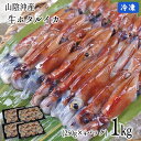 2024年新物【A級】生ホタルイカ（プロトン凍結） 1kg（250g×4パック）【送料無料】山陰沖産[冷凍]【いか】【イカ】【…