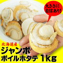 【送料無料】ジャンボ2Lサイズ【ボ