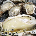 【予約販売】送料無料！【山陰産】　岩牡蠣[生]大 5個セット（300g前後が5個入）夏輝牡蠣（なつき）【6月上旬以降漁…