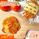 柿ちゅっぷす 富有柿ドライフルーツ（2パックセット）【鳥取県 みつ農園産】送料無料 [常温]【メール便・代金引換不可・同梱不可】柿 富有柿 干し柿　ssfs0304