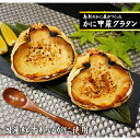 チーズグラタン200g×5　【まるなか】