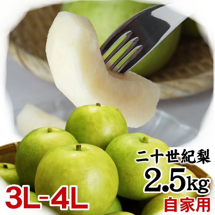 二十世紀梨 【自家用】2.5kgセット【大玉3L-4L】(6-7玉入)【送料無料】【鳥取県産】（20世紀梨）[常温]梨 なし 和梨【9月上旬以降予約順出荷予定】