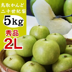 https://thumbnail.image.rakuten.co.jp/@0_mall/syun-sakana/cabinet/nashi/kando20seiki5k2l.jpg