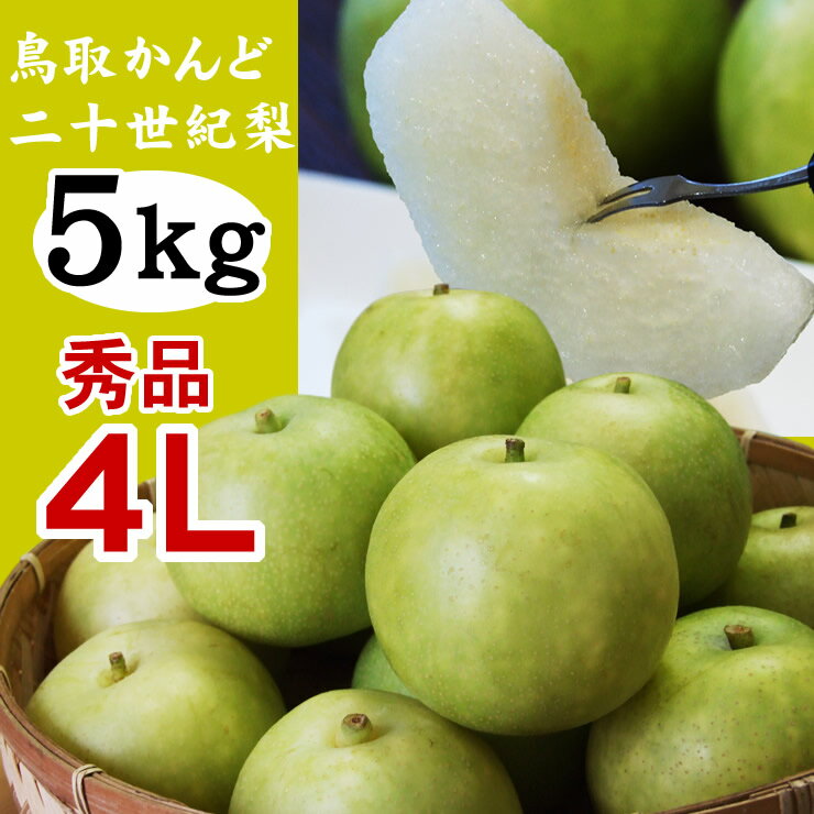 (かんど地区産限定)二十世紀梨【秀品：進物用】 5kgセット（特大4Lサイズ：12玉入）【送料無料】【鳥取県産】（20世紀梨）【9月上旬以降予約順出荷予定】