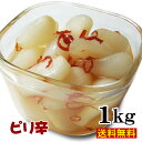 【送料無料】砂丘らっきょう【 ピリ辛 】1kg[常温]［らっきょう漬け同士は同梱可能］（甘酢漬け）【鳥取県福部町産ラッキョウ】二十世紀梨酢入り