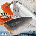 鳥取県産【境港サーモン(銀鮭)】フィーレ(400-500g程度)生食用[冷凍]