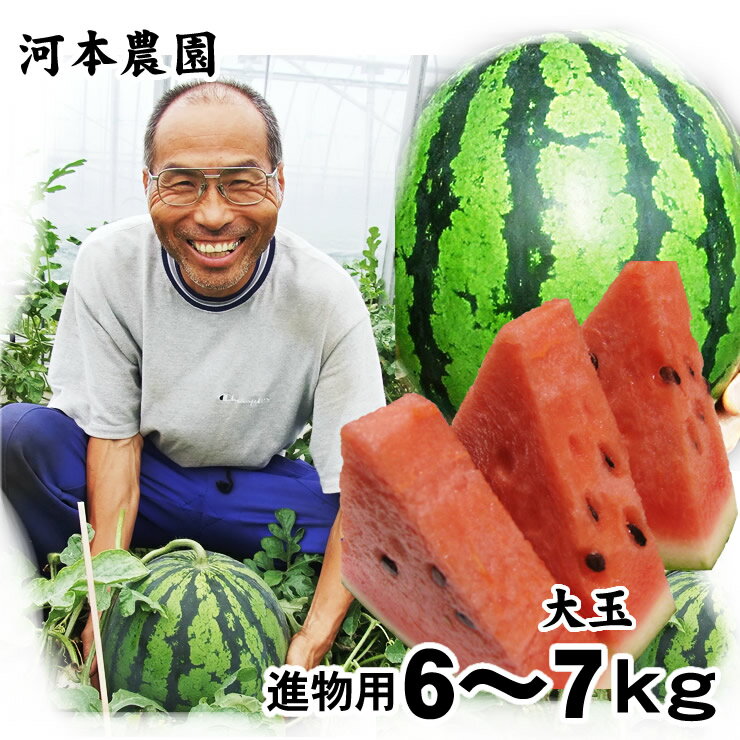 【予約販売】【進物用】河本農園の