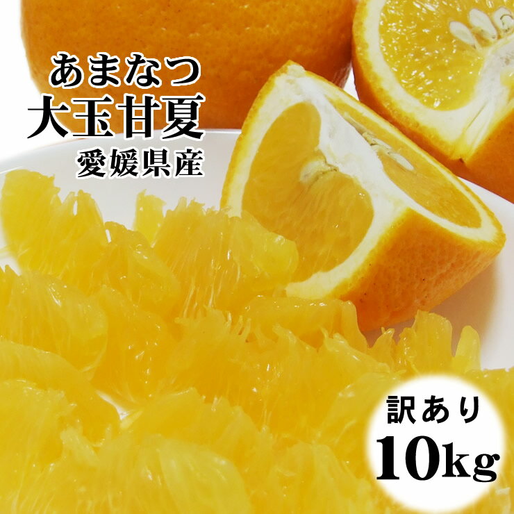 お徳用！【大玉甘夏】[訳あり]10kgセット（5kg×2箱）送料無料！愛媛県産[常温]