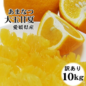 お徳用！【大玉甘夏】[訳あり]10kgセット（5kg×2箱）送料無料！愛媛県産[常温]