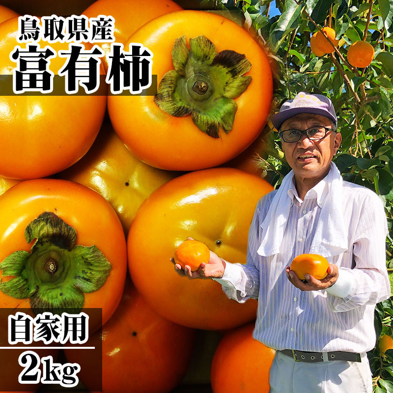【新竹ファーム産】富有柿(ふゆうかき)(自家用)　2kgセット（6-8玉）送料無料 [鳥取県産][常温]11月下旬以降予約受付け順出荷のサムネイル