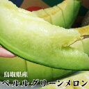 【予約販売】送料無料!【ペルルグリーンメロン】(ペルルメロン)1箱(2玉入)【4L-5Lサイズ】【進物用化粧箱入り】【鳥取県産】大玉でトップクラスの甘さ![常温...