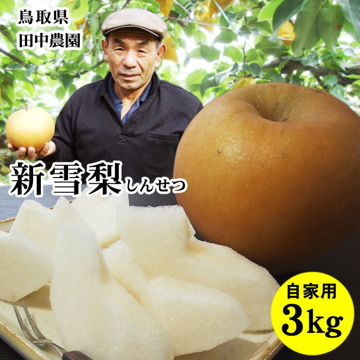 田中農園【新雪梨】3kg前後セット自家用(5-7玉入り)【送料無料】[常温]鳥取県産[農家指定商品]のサムネイル
