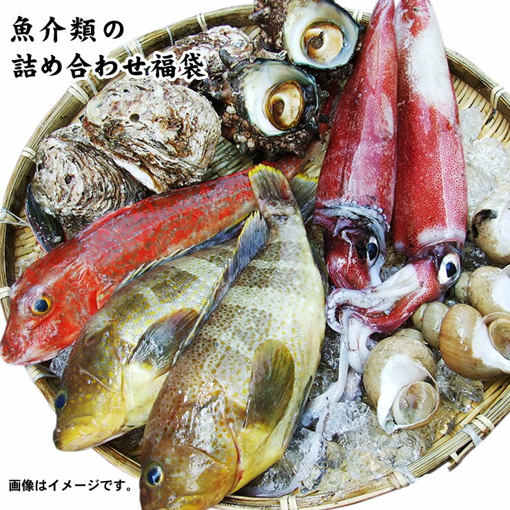 魚介類の詰め合わせ3980円セット福