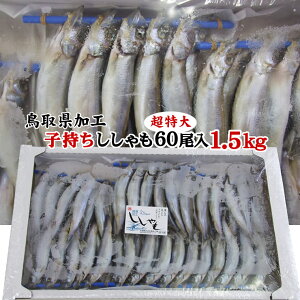 超特大！【子持ちカラフトししゃも一夜干し】たっぷり60尾入り1．5kgセット！［ノルウェー産鳥取県境港加工］〔冷凍〕