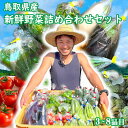 サンファームズ 三橋さんの「旬の野菜詰め合わせ」（3-8品）鳥取県産　　 野菜 詰め合わせ 野菜詰合せ 旬 取寄せ贈り物