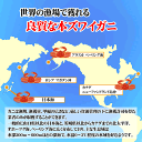 【お刺身で食べられるずわい蟹ポーション 1kg 特大サイズ】 送料無料1kg[冷凍]（太脚棒肉のみ26-35本入） 蟹 ポーション カニしゃぶ かに ズワイガニ 刺身 ギフト 3