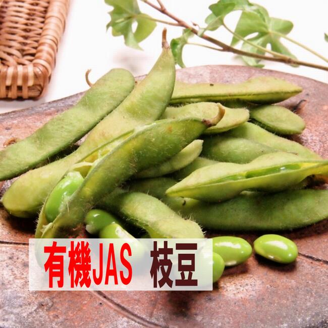 7月下旬よりスタート！銀河高原ファームのJAS自然栽培枝豆250g×4袋 群馬県 国産枝豆 有機JAS 朝採り 9月中旬までえだまめ 枝豆 国産 有機 有機野菜 オーガニック 野菜 旬野菜 夏野菜のサムネイル