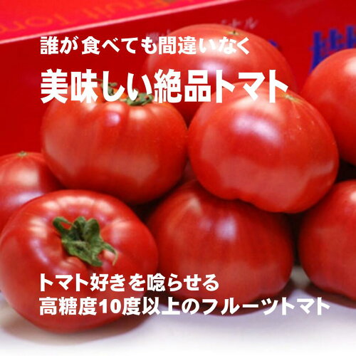 大人気のフルーツトマトが、今だけのお得なクーポン付き！糖度10度以...